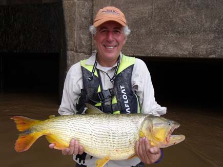 Martin Salter La Zona golden dorada www.amazon-angler.com_.jpg